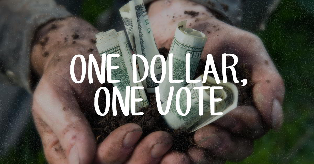 One Dollar One Vote